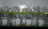 Gel fixador 30 ml